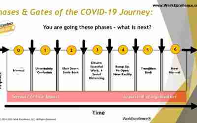 Steps for Business Process Reengineering After COVID-19